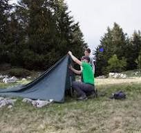 tarp